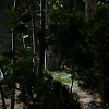 Filename=GENERAL_HOSPITAL_-_06152018_402.jpg
Filesize=464KiB
Dimensions=1280x720
Date added=Jun 16, 2018 GENERAL_HOSPITAL_-_06152018_402.jpg