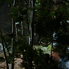 Filename=GENERAL_HOSPITAL_-_06152018_403.jpg
Filesize=500KiB
Dimensions=1280x720
Date added=Jun 16, 2018 GENERAL_HOSPITAL_-_06152018_403.jpg