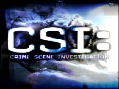 2008_CSI_-_E8X11_BULL208.jpg