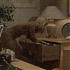 TAMARA_-_GH_06_26_2002_003.jpg