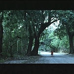 2008_-_LITTLE_CHENIER_ALT_ENDING_011.jpg