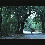 Filename=2008_-_LITTLE_CHENIER_ALT_ENDING_012.jpg
Filesize=74KiB
Dimensions=1024x768
Date added=Jul 10, 2008 2008_-_LITTLE_CHENIER_ALT_ENDING_012.jpg