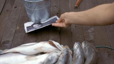 2008_-_LITTLE_CHENIER_369.jpg