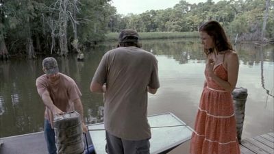 2008_-_LITTLE_CHENIER_466.jpg