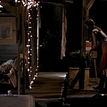 2008_-_LITTLE_CHENIER_260.jpg