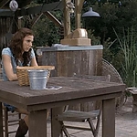 2008_-_LITTLE_CHENIER_332.jpg