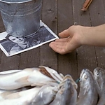 2008_-_LITTLE_CHENIER_367.jpg