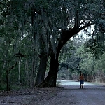 2008_-_LITTLE_CHENIER_587.jpg