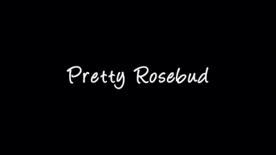 PRETTY_ROSEBUD_002.jpg