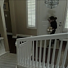 Filename=ABDUCTION_OF_ANGIE_0626.jpg
Filesize=400KiB
Dimensions=1280x720
Date added=Apr 01, 2019 ABDUCTION_OF_ANGIE_0626.jpg