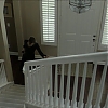 Filename=ABDUCTION_OF_ANGIE_0661.jpg
Filesize=441KiB
Dimensions=1280x720
Date added=Apr 01, 2019 ABDUCTION_OF_ANGIE_0661.jpg