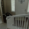 Filename=ABDUCTION_OF_ANGIE_0662.jpg
Filesize=448KiB
Dimensions=1280x720
Date added=Apr 01, 2019 ABDUCTION_OF_ANGIE_0662.jpg