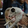 Filename=ABDUCTION_OF_ANGIE_1596.jpg
Filesize=413KiB
Dimensions=1280x720
Date added=Apr 01, 2019 ABDUCTION_OF_ANGIE_1596.jpg