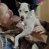 Filename=ABDUCTION_OF_ANGIE_1600.jpg
Filesize=439KiB
Dimensions=1280x720
Date added=Apr 01, 2019 ABDUCTION_OF_ANGIE_1600.jpg