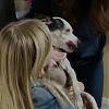 Filename=ABDUCTION_OF_ANGIE_1604.jpg
Filesize=424KiB
Dimensions=1280x720
Date added=Apr 01, 2019 ABDUCTION_OF_ANGIE_1604.jpg
