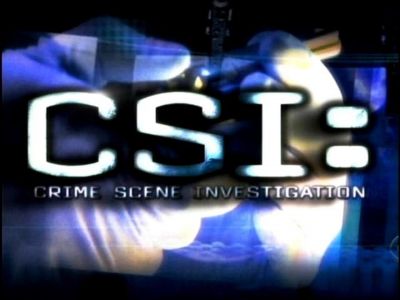 2008_CSI_-_E8X11_BULL000.jpg