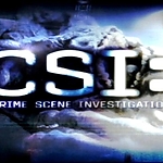 2008_CSI_-_E8X11_BULL208.jpg